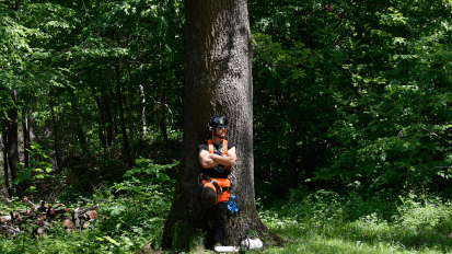 Garten- & Landschaftspflege